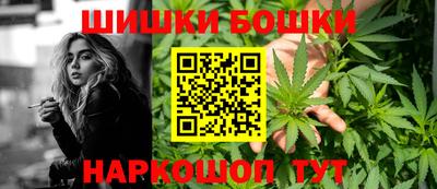 дживик Будённовск