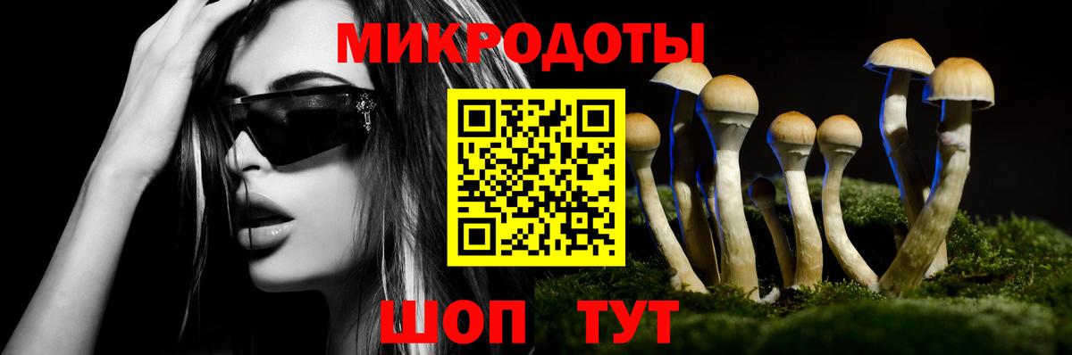Галлюциногенные грибы мухоморы Полысаево